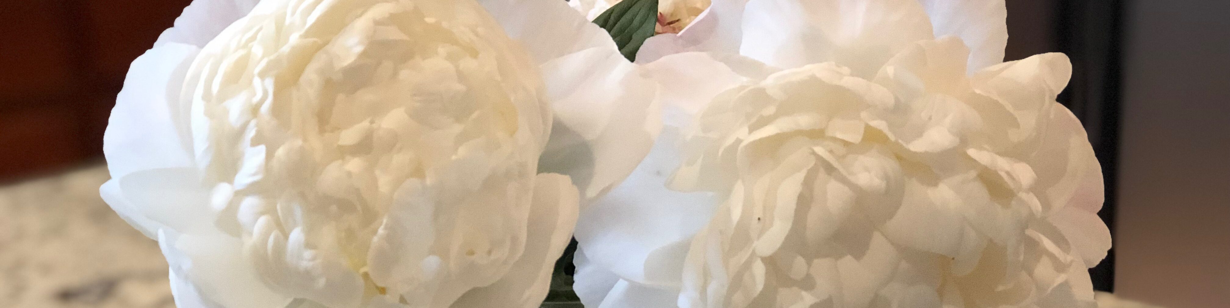 Katy's Portland Pearls
